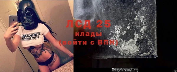 молекула духа Арсеньев
