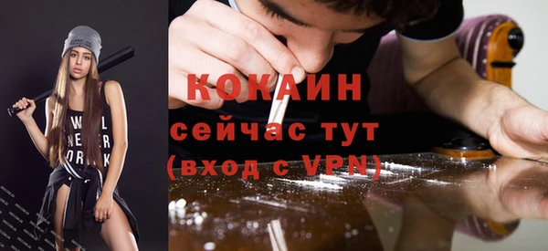 молекула духа Арсеньев