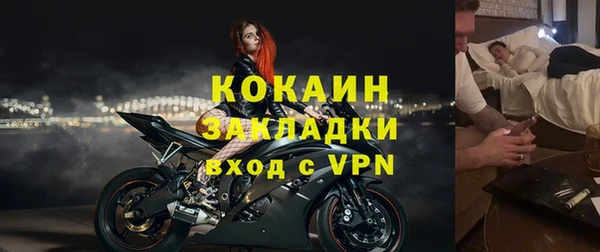 молекула духа Арсеньев