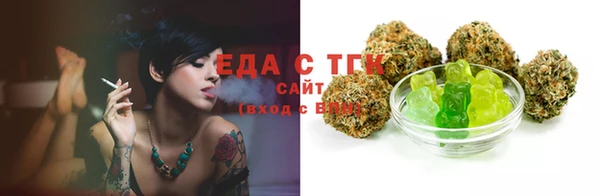 молекула духа Арсеньев