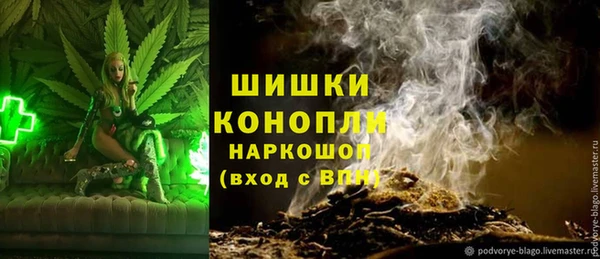 молекула духа Арсеньев