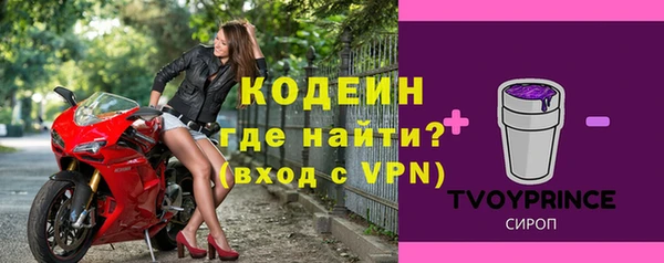 молекула духа Арсеньев