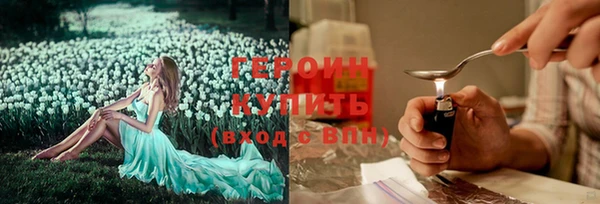 молекула духа Арсеньев