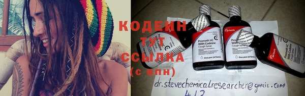 молекула духа Арсеньев